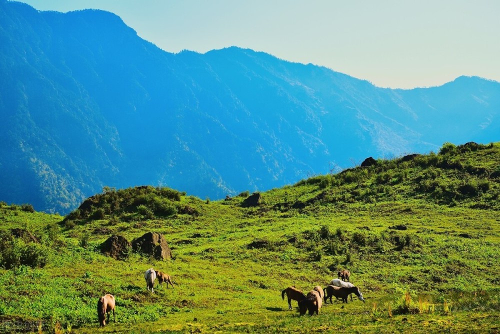 地磁|四川黑竹沟为什么常有人失踪？专家历时两年发现沟内深处极为异常