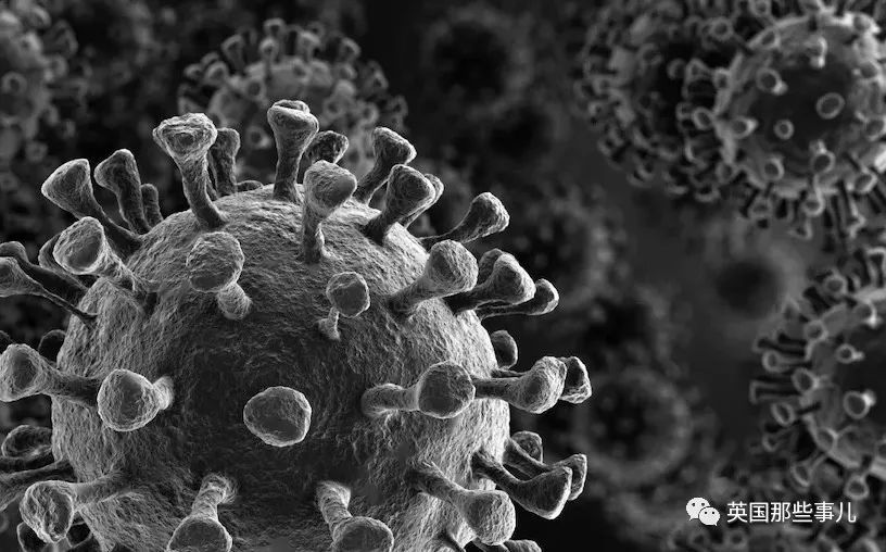 英国变异病毒在美国疯狂传播每10天翻倍一次然而