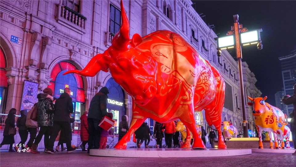 沈阳中街的彩绘牛被吐槽有人说晚上见了会害怕事实是那样吗