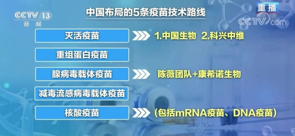 疫苗|【关注】单针接种疫苗来了！我国几款新冠疫苗应该怎么选？