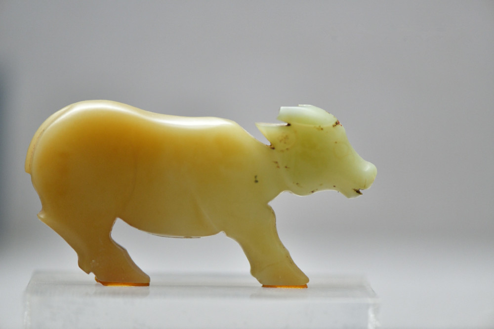 迎牛年赏玉牛玉牛来贺春