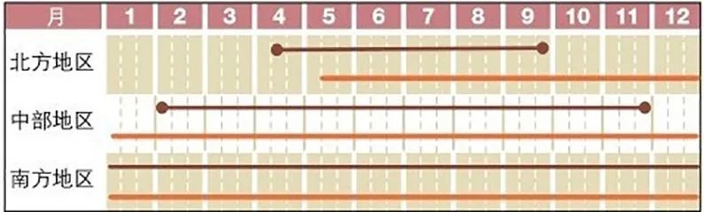 植株|名带“香”字儿，你定都尝试栽种的6款美味蔬菜！