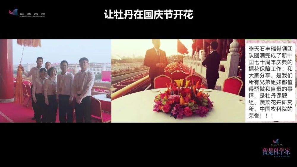 牡丹花|“秀新啊，你能不能送我一盆牡丹花？一定要让它大年初一开” ｜张秀新