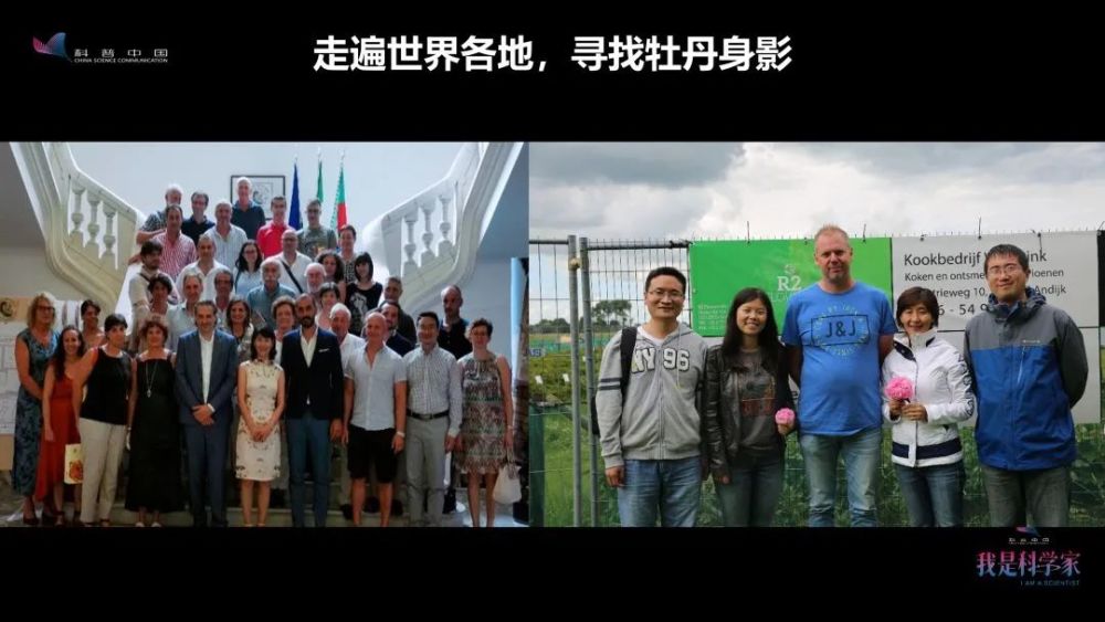 牡丹花|“秀新啊，你能不能送我一盆牡丹花？一定要让它大年初一开” ｜张秀新