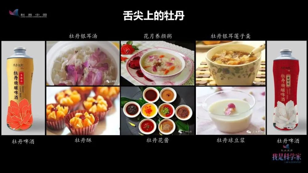 牡丹花|“秀新啊，你能不能送我一盆牡丹花？一定要让它大年初一开” ｜张秀新