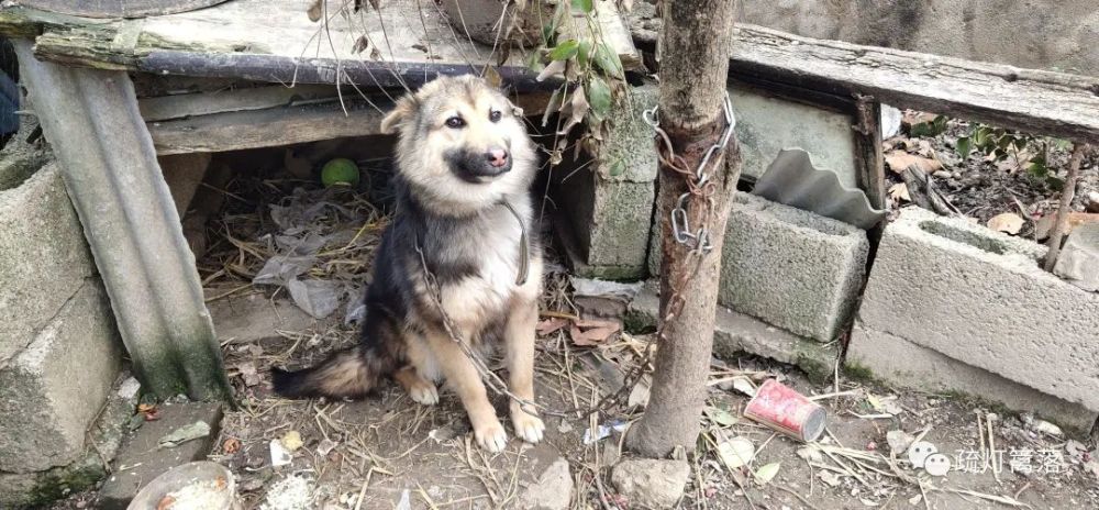 劝君今夕无须眠 满天花火看不厌 腾讯新闻
