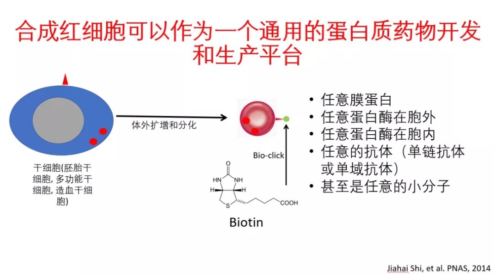 史家海|新药研发20年，史家海详解：红细胞技术如何接轨基因治疗等