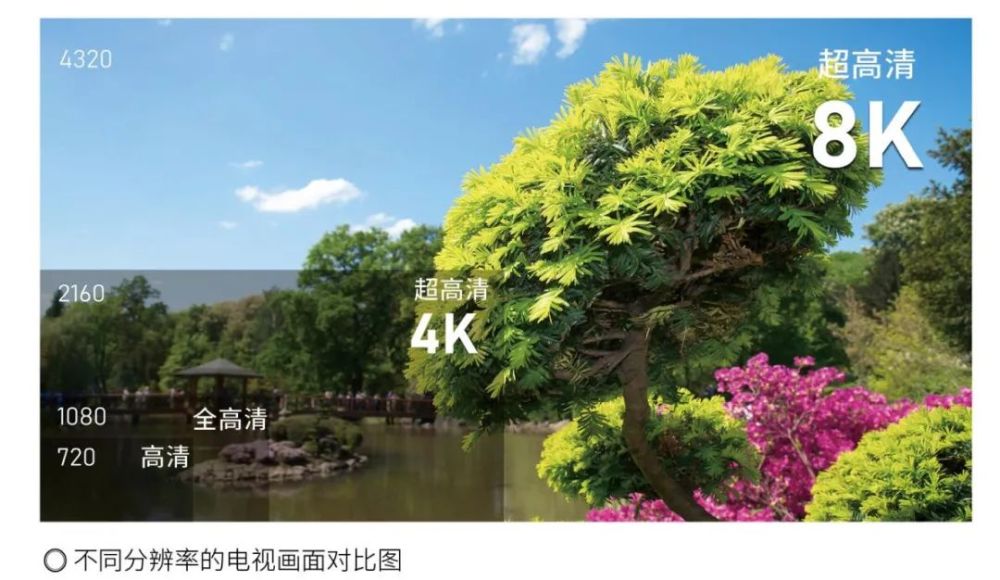 5g|可与春晚主持人聊天，还能当魔术师助手，这到底是怎样的5G！