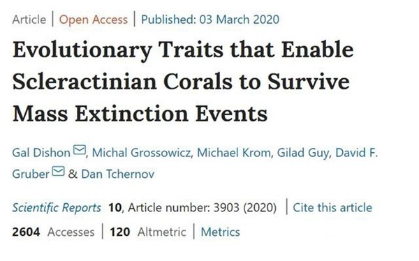 科学家|第六次物种大灭绝要来了？科学家：人类将面临“可怕的未来”