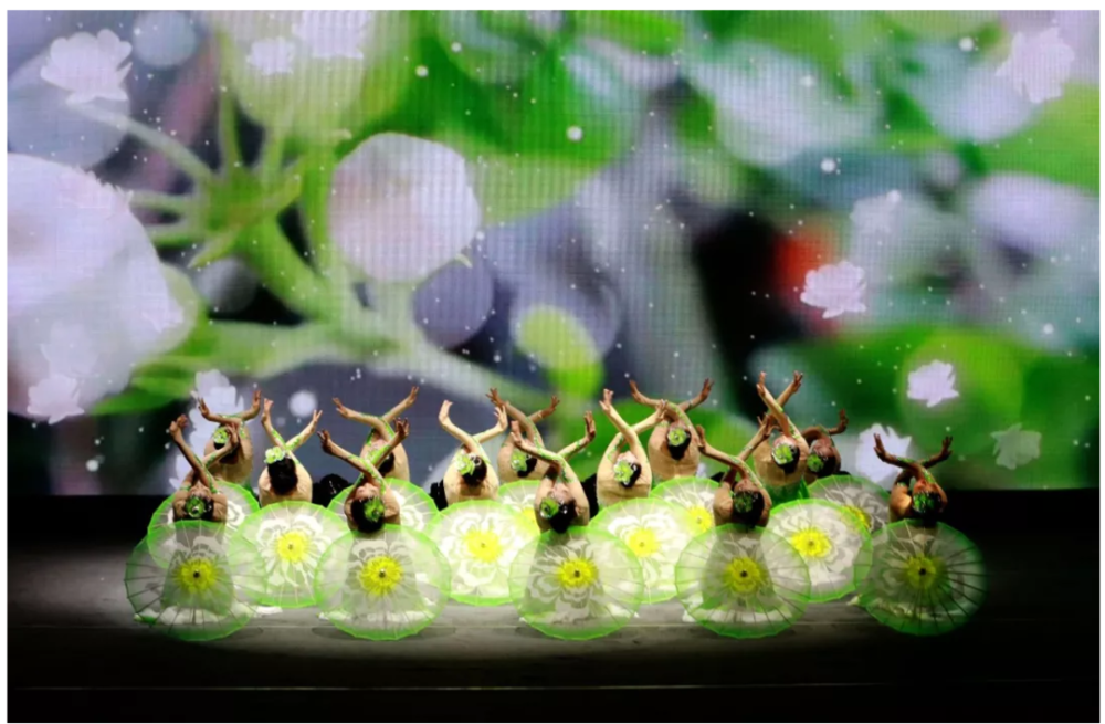 央视春晚清新绝艳起舞的茉莉扬子小编也hold住了