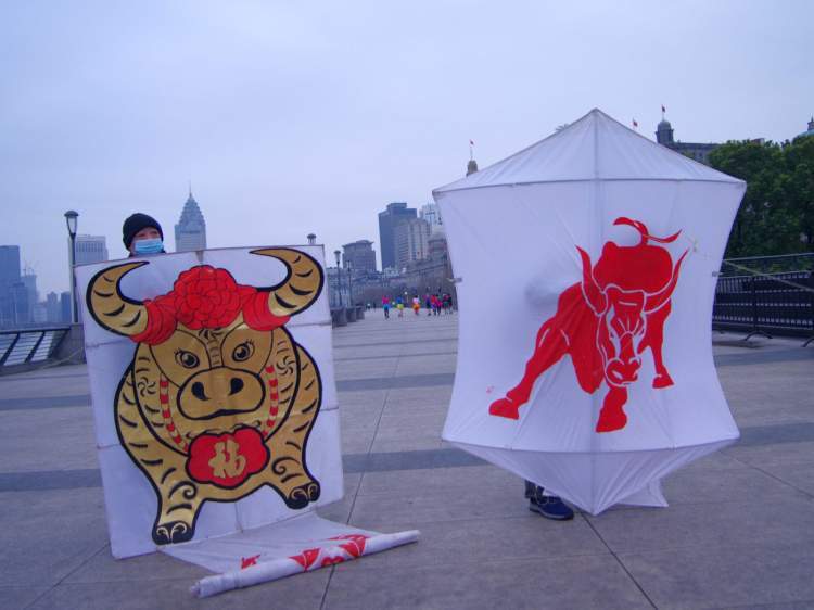 这是外滩风筝队风筝爱好者们制作的牛年主题风筝,通过风筝放飞,祈求
