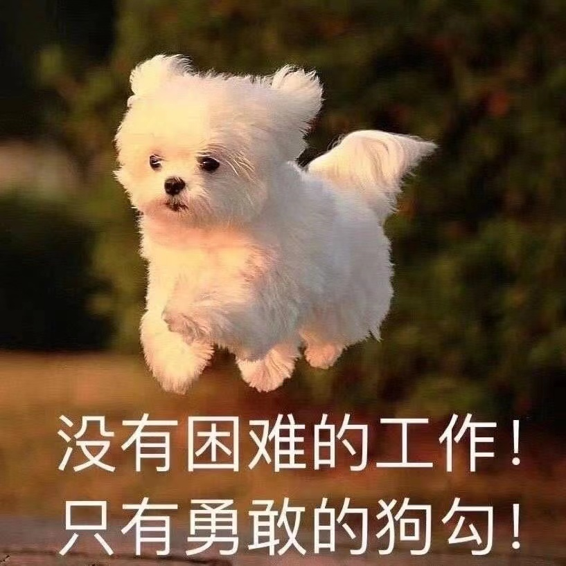 十二生肖|年初一，踏实肯干“打工牛”宝宝来啦！