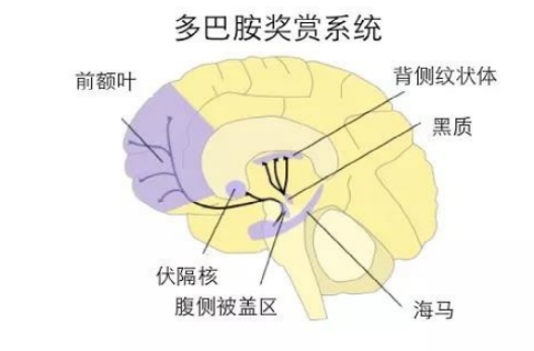 瓜子|嗑瓜子一时爽，一直嗑一直爽……