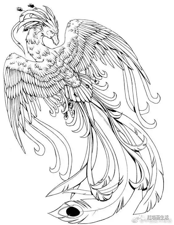 白描|春节凤凰啊!