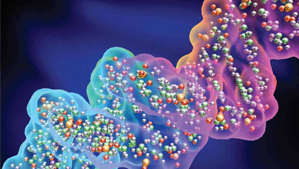 science封面|人类基因组工作草图发布20周年,待解的9大问题