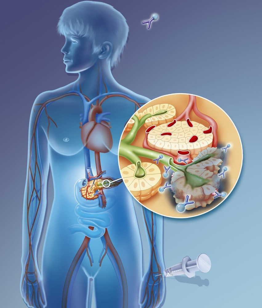 胰岛素|过年了，盘点五大器官将要迎来的暴击，怎样注意才能过个健康年