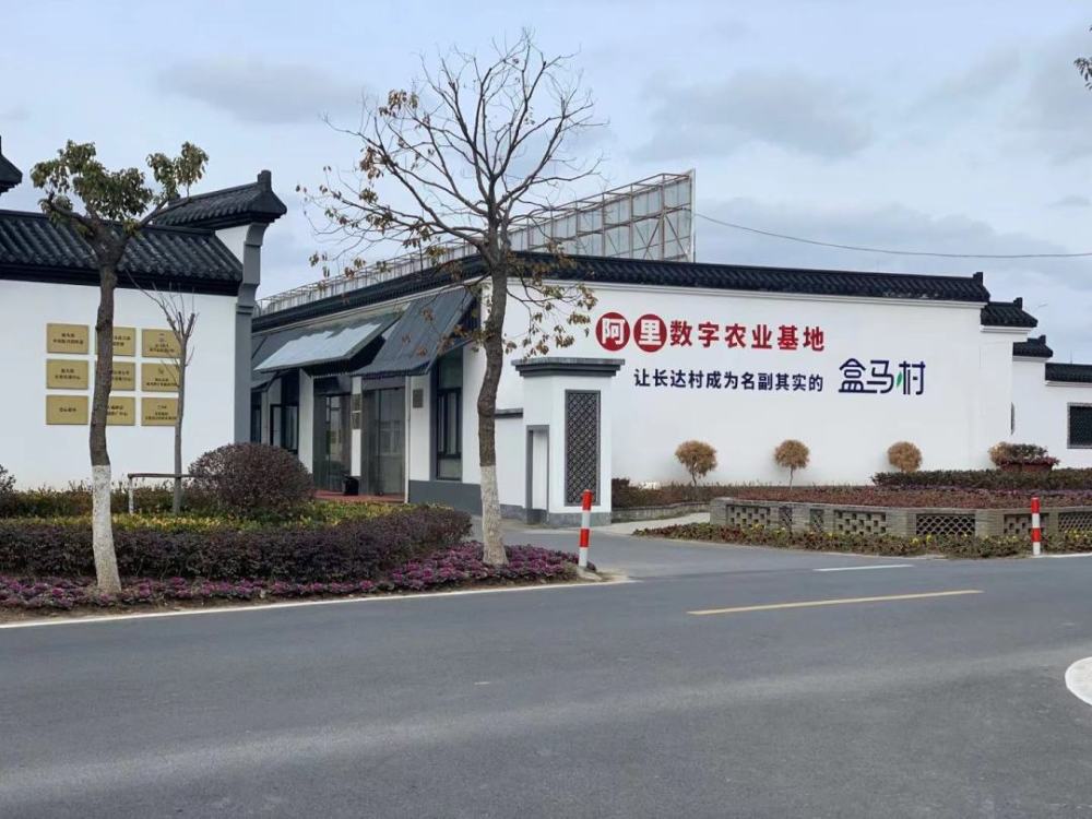 乡愁寄此乡|浦东航头镇长达村:从"靠天吃饭"到"数字耕田"_腾讯新闻