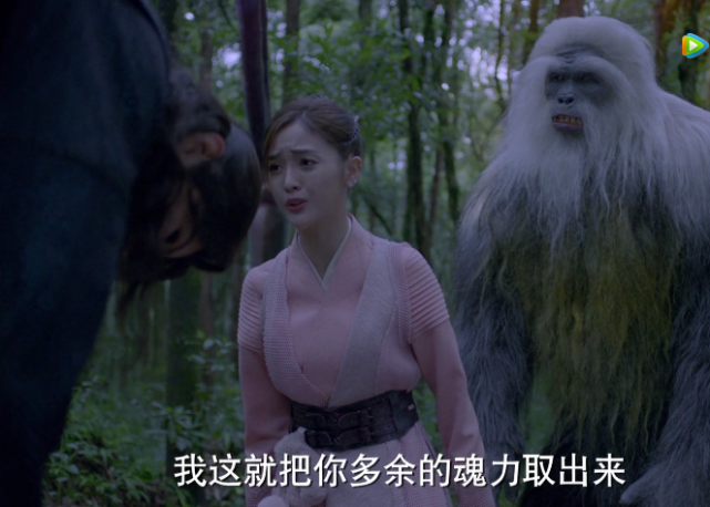 斗罗大陆剧版:罗三炮就算了,六翼麻雀也能忍,菊斗罗的蒲公英是真的