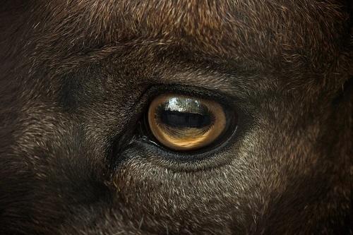 玛丽亚·凯莉|12个冷知识：真实有趣，但一定有你不知道的