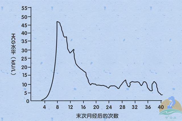 1)激素变化的影响孕期的呕吐虽然难受,却具备一定的现实意义,孕妈为啥