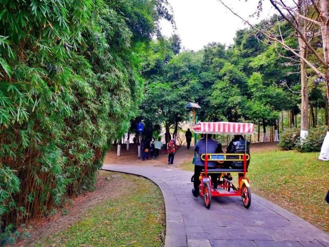 04我的田園·自然王國在鳳凰湖感受這座城市的悠閒愜意在天驍馬術感受