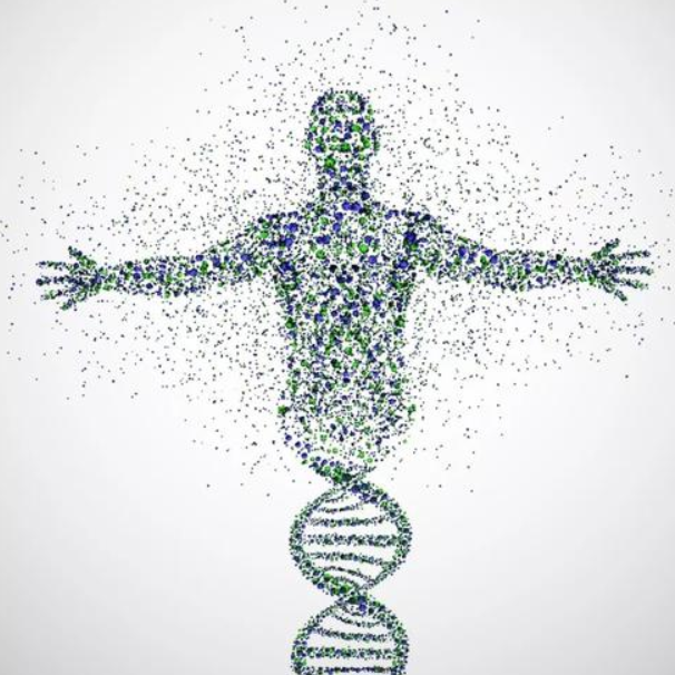 基因|饭量与寿命有关吗？研究发现，寿命还与30％的基因存在关系