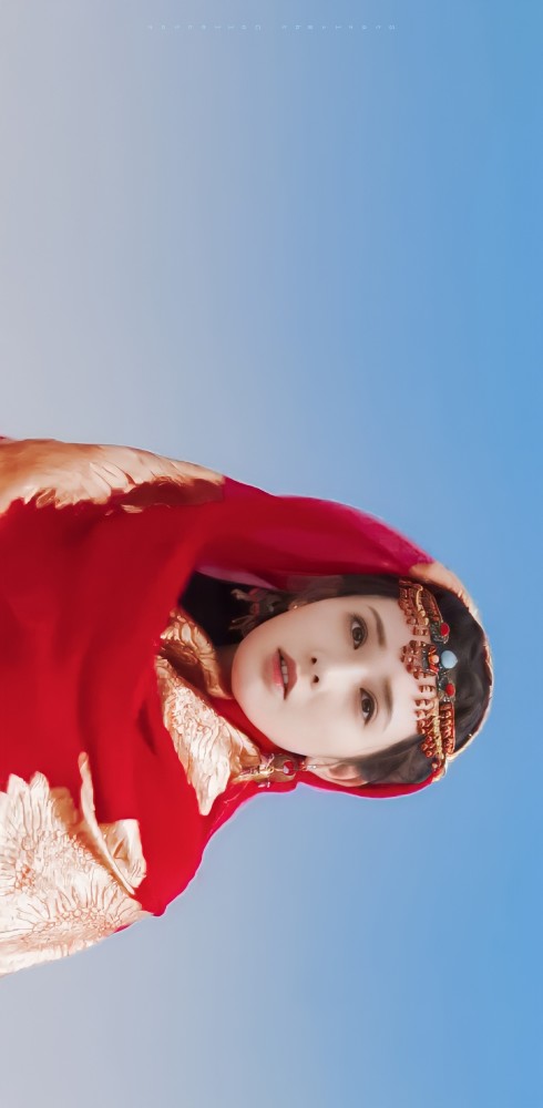 我是西周的九公主我是中原的顾小五