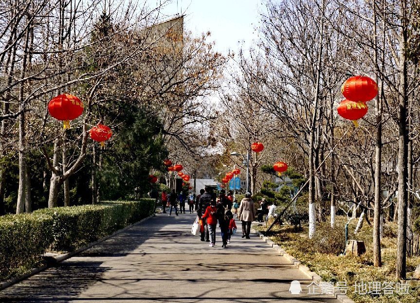 济南泉城公园2021牛年春节大年初一头一天