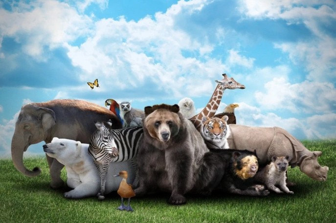 地球|宣布灭绝多年的生物重现地球，真相到底是什么？科学至今无法解释