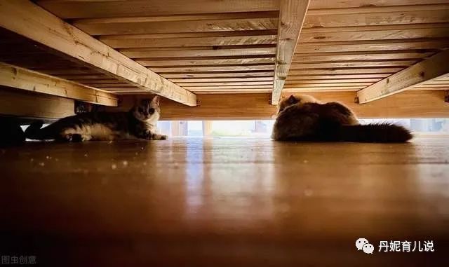 孩子不敢单独睡觉,总说床底下有怪物,父母该如何帮助孩子?