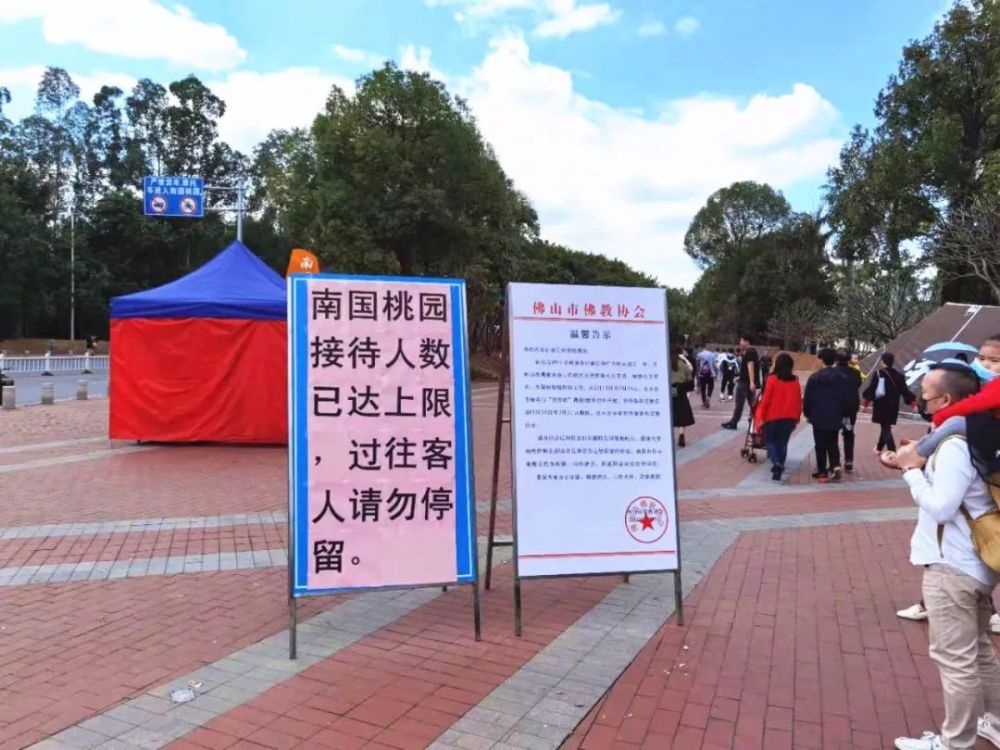 南国桃园桃花令人心醉春节假期景区限流禁止外来车辆进入