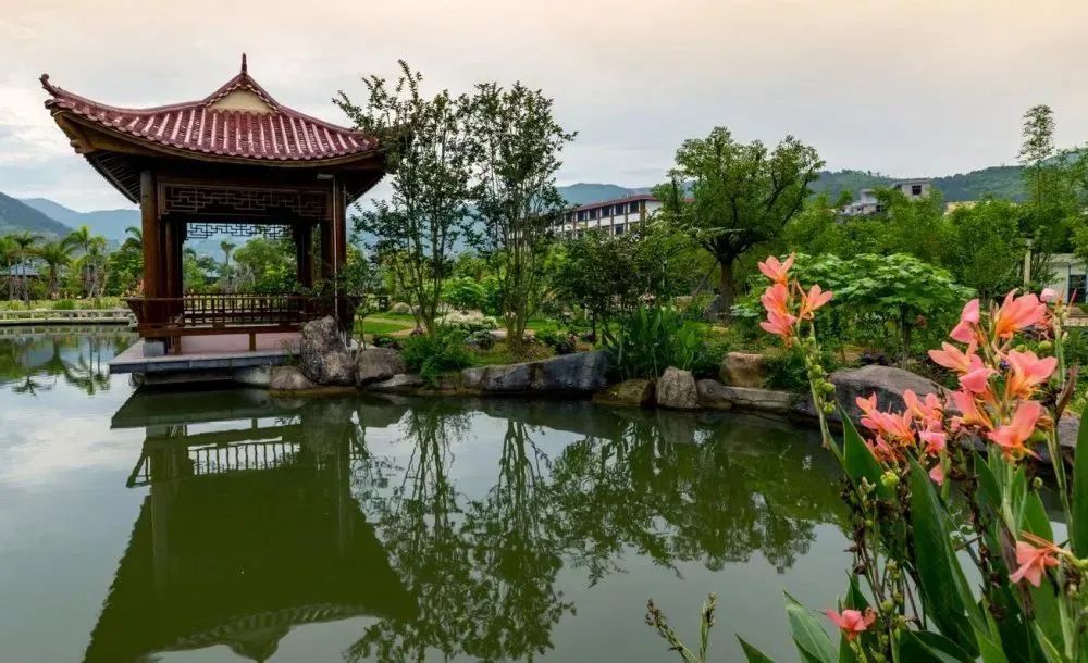 涵江萩芦福建全域旅游生态小镇欢迎您春节近郊游不去远方也能尽情享受