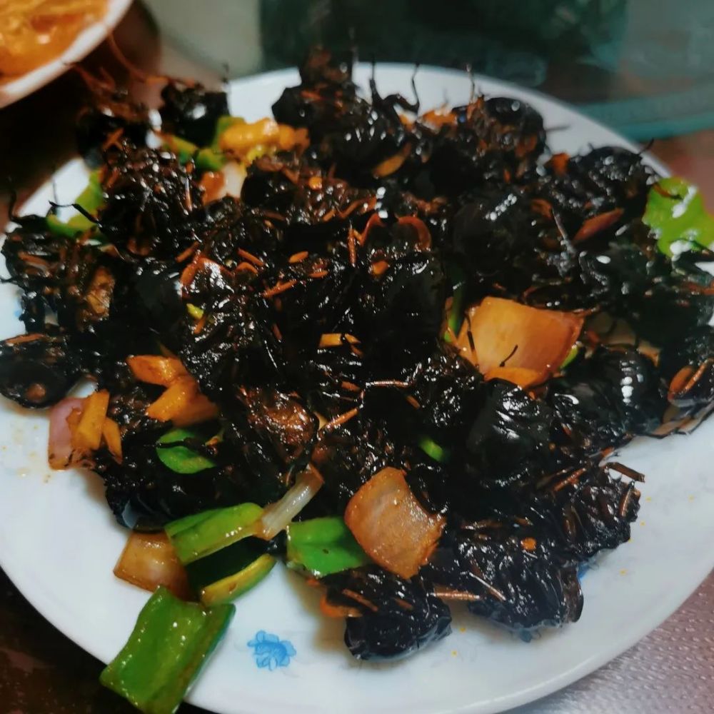 炸知了猪蹄炖黄豆安徽四川火锅卤鹅广东年夜饭的菜肴镌刻在基因中四方
