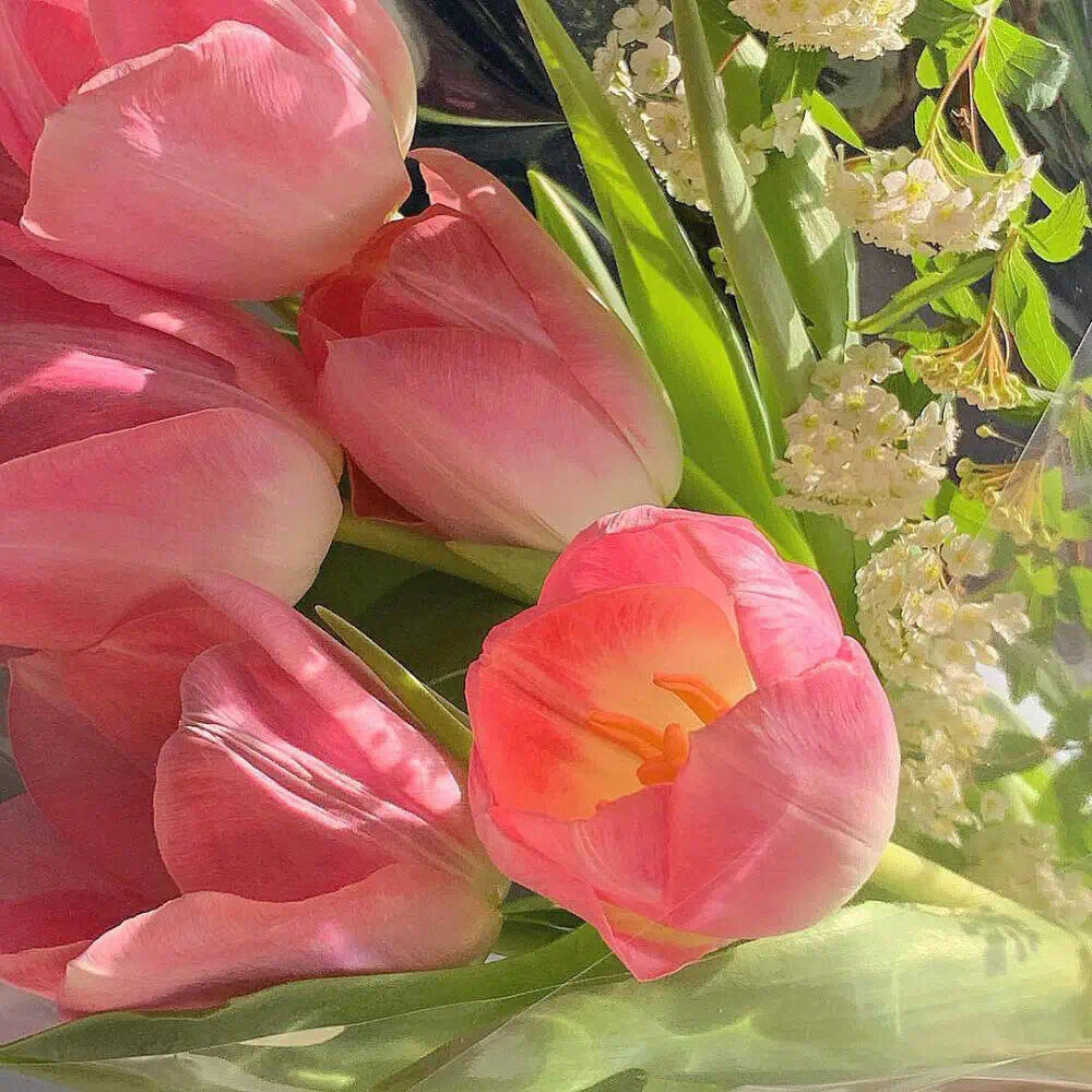 有哪些特别唯美,让你第一眼看到就心动的句子和小诗?_腾讯新闻