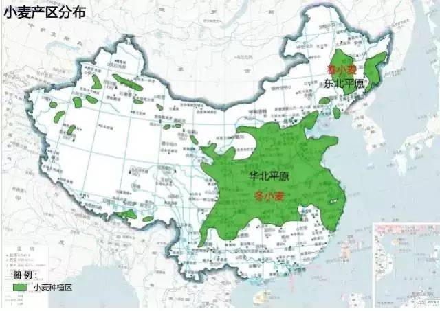 我国最好的小麦产自哪里?有什么科学依据吗?