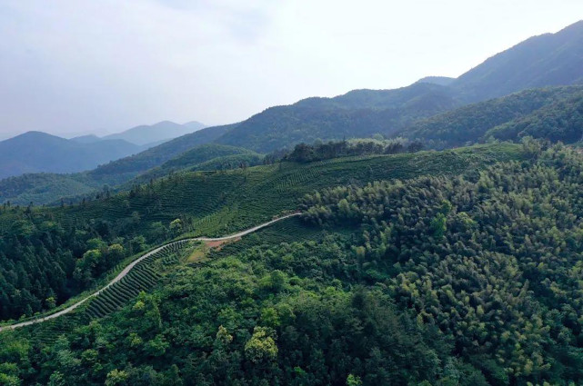 江西瑞昌市青山森林公园景区风光.
