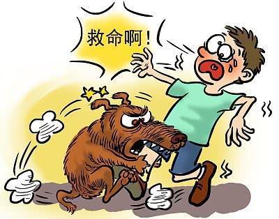 狂犬病毒|为什么狂犬病致死率百分之百？我们该如何预防狂犬病？