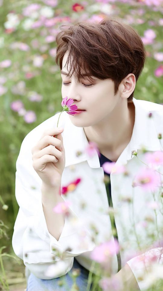 车银优美图女神降临你看了吗韩国的脸蛋天才