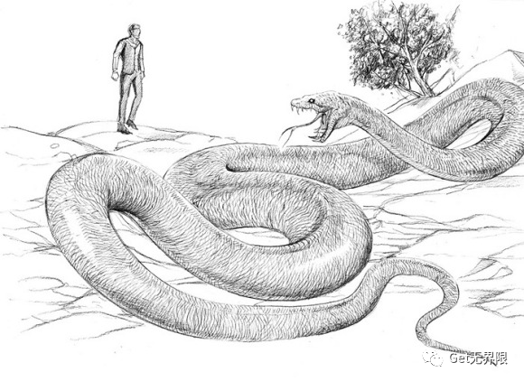 世界十大巨兽排行榜