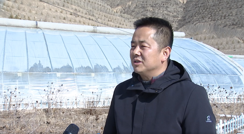 奋斗百年路启航新征程在陇商家话扶贫闫鹏飞的绿色梦