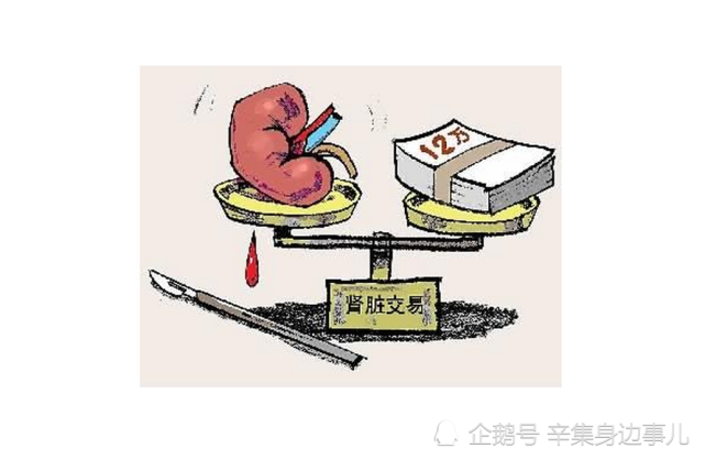 杭州小伙子只是想帮女朋友买个手机而选择了卖肾