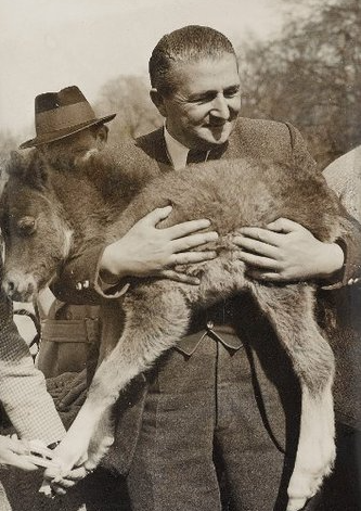 卢茨·赫克|开卷有牛丨为血统纯洁，纳粹复活“上古神兽”！