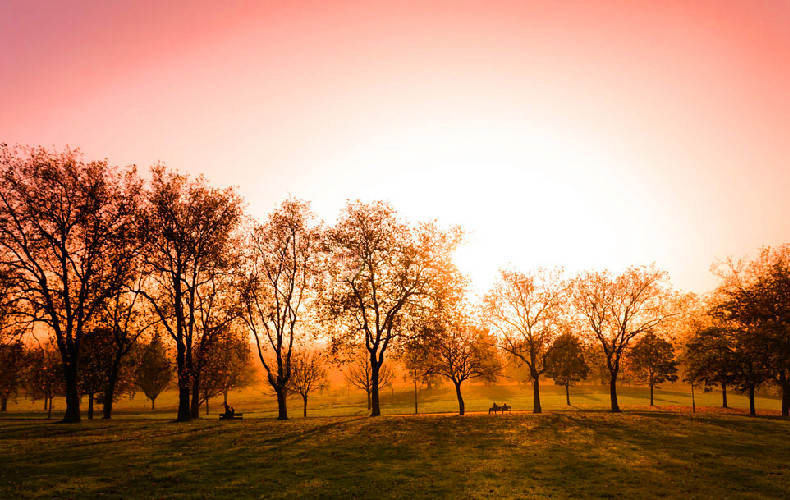生肖运势 周六农历二月十五 看你的属相适合做什么 腾讯新闻