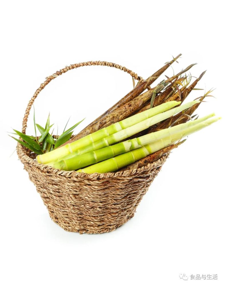 广东,福建,四川产"苦笋",山珍之味,壳呈褐绿色,笋肉色白,又名"甘笋""