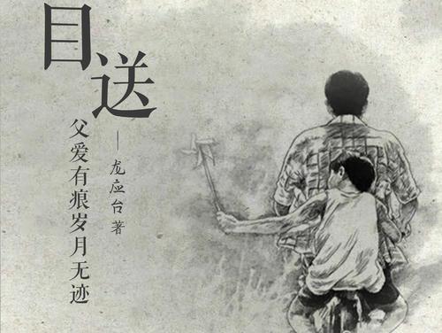 目送 读书笔记整理 腾讯新闻