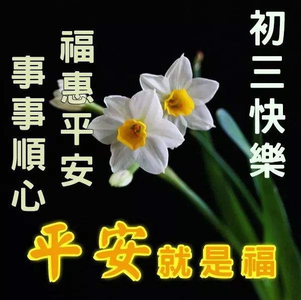 2022虎年大年初三拜年短信祝福语正月初三发朋友圈的问候祝福语图片