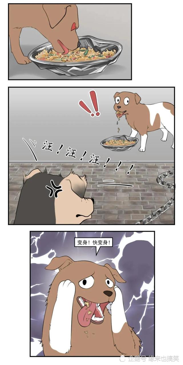 搞笑漫画饿肚子的狗