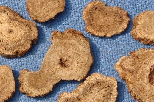 木香的功效与作用,木香的禁忌人群有哪些