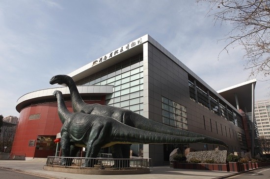 地球|大年初三 云游地博：河南省地质博物馆 发掘恐龙化石触摸地球历史