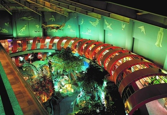 地球|大年初三 云游地博：河南省地质博物馆 发掘恐龙化石触摸地球历史